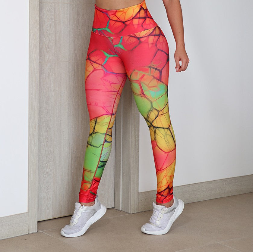 Leggins estampado (Ref.273)